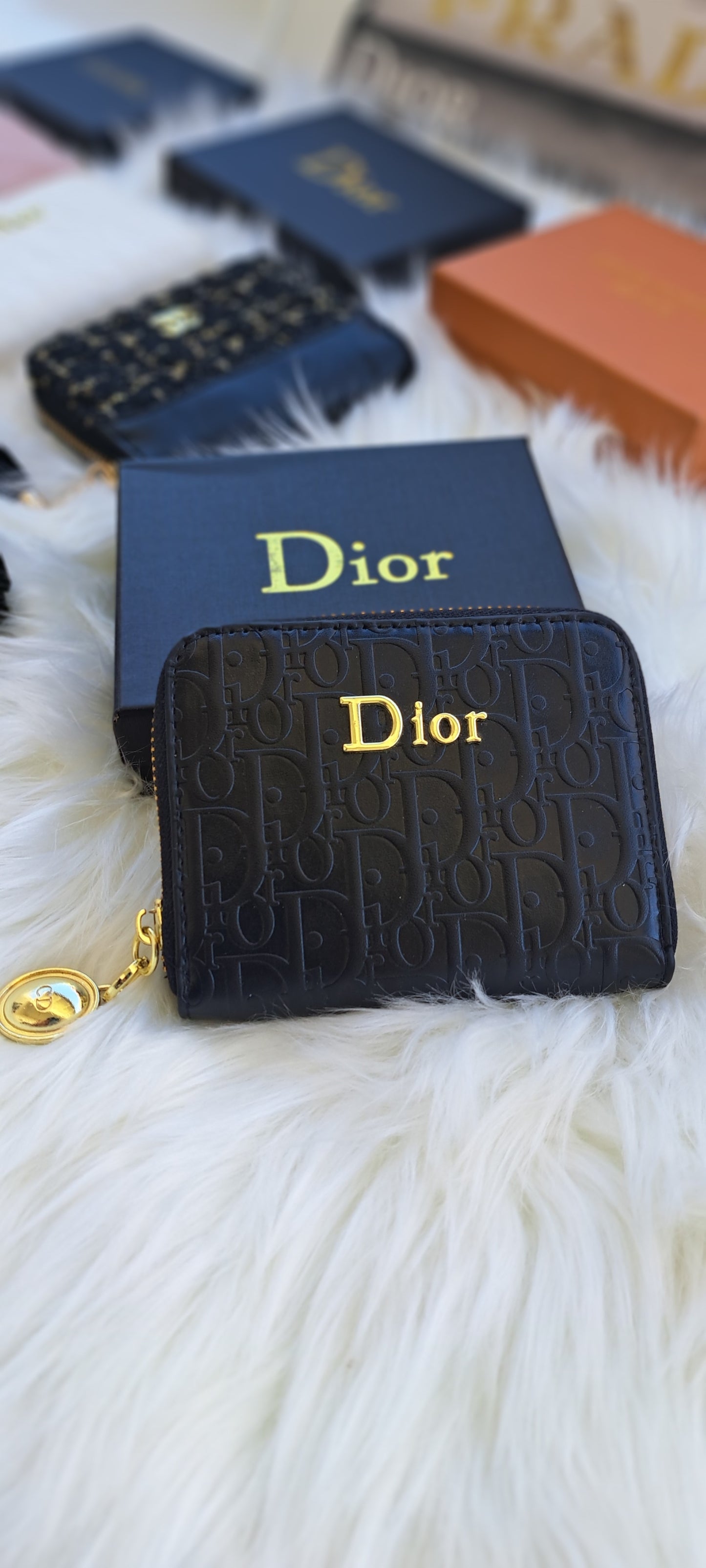 Luxury Mini Wallet _ DIOR Black