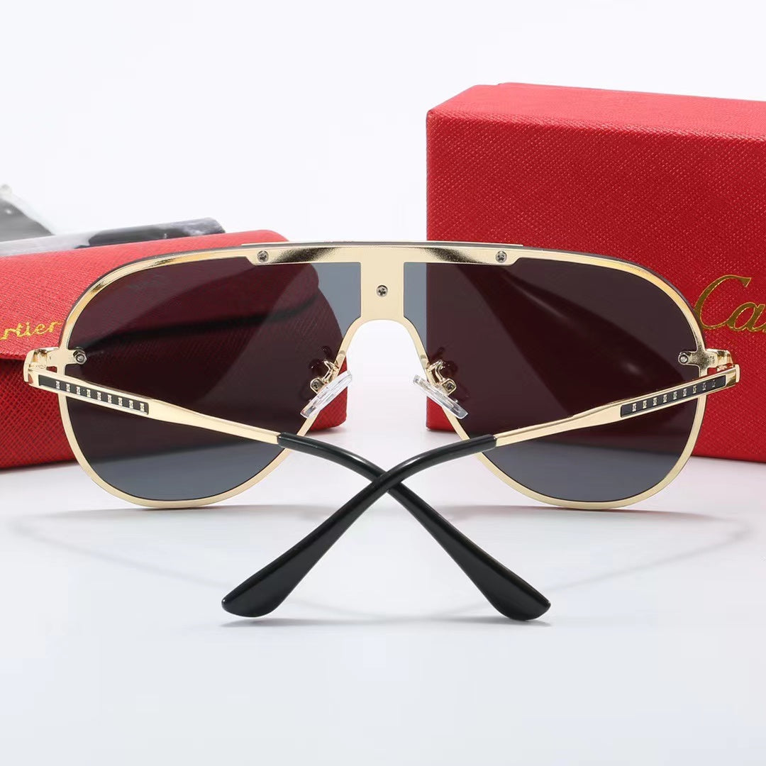 CARTIER SUNGLASSE #3689