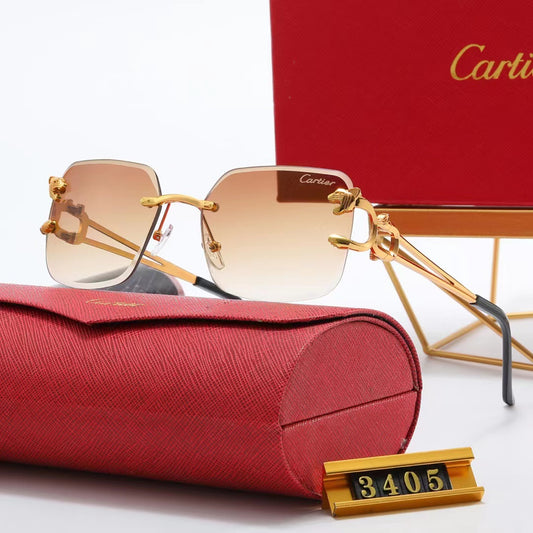 CARTIER SUNGLASSE #3405