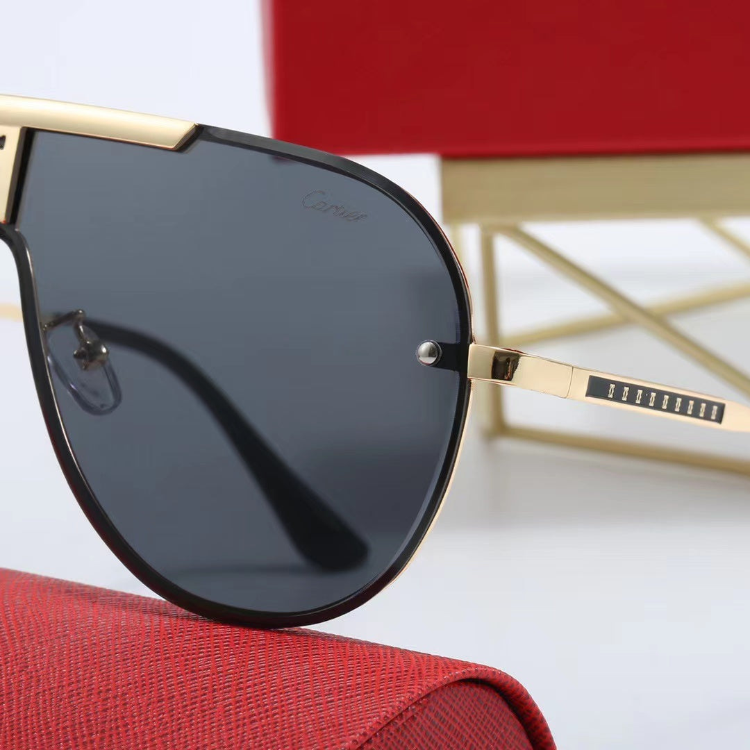 CARTIER SUNGLASSE #3689