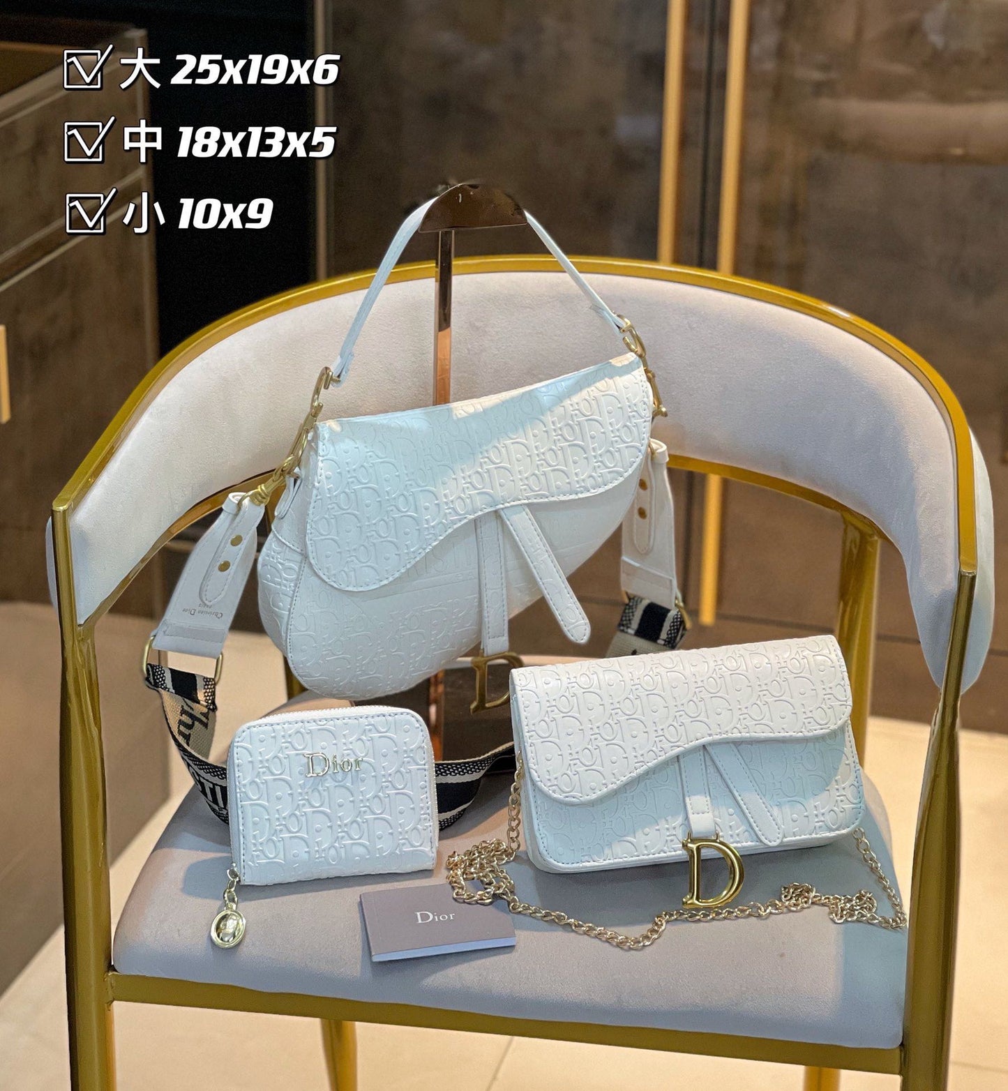 Bougee Set DIOR - Saddle